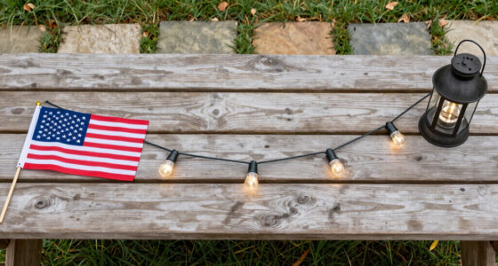 12 Best Patriotic Outdoor String Lights in 2026
