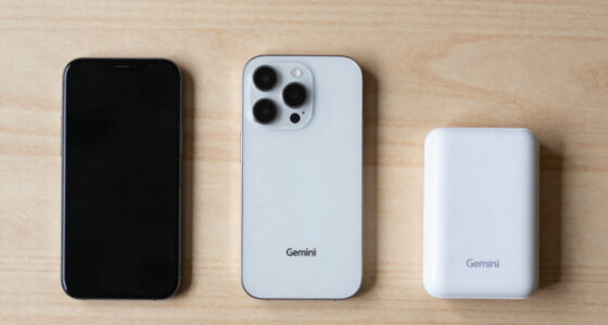 Please Don't Discontinue Gemini 2.5 Flash