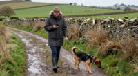 Why Pet Searches Are Trending In Yorkshire